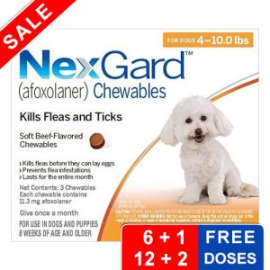 Nexgard-free-dose-offers