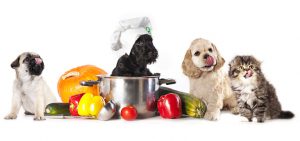 Organic Diets for Pets