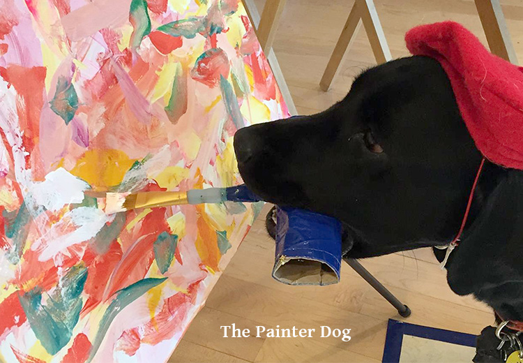 the painter dog