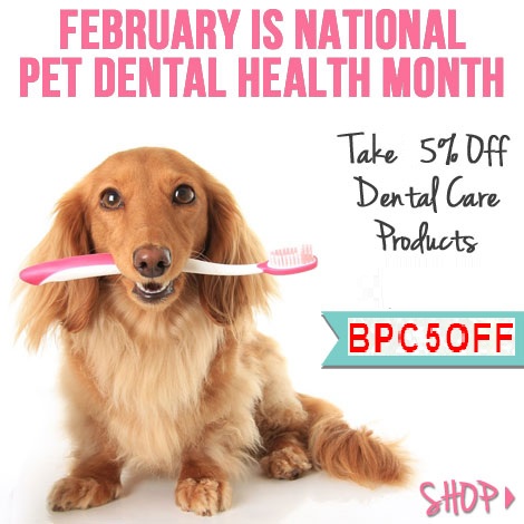 Discount for Pet Dental Health Month