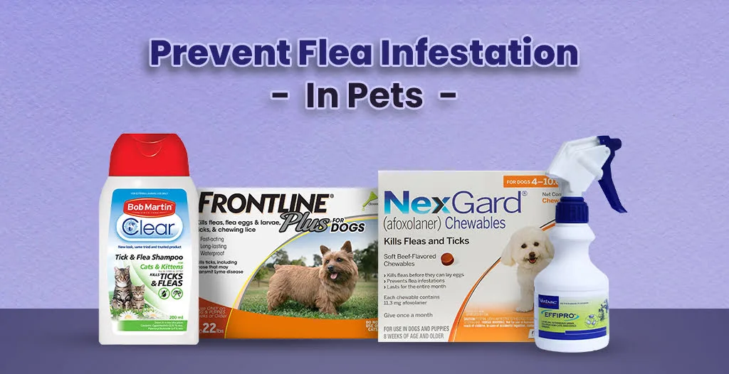 prevent flea infestation in pets for different types of fleas