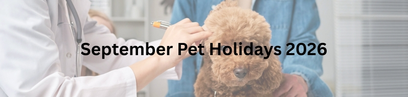 Pet Holidays in September 2026