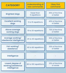 Top 10 Smartest Dog Breeds: The Furry Einsteins