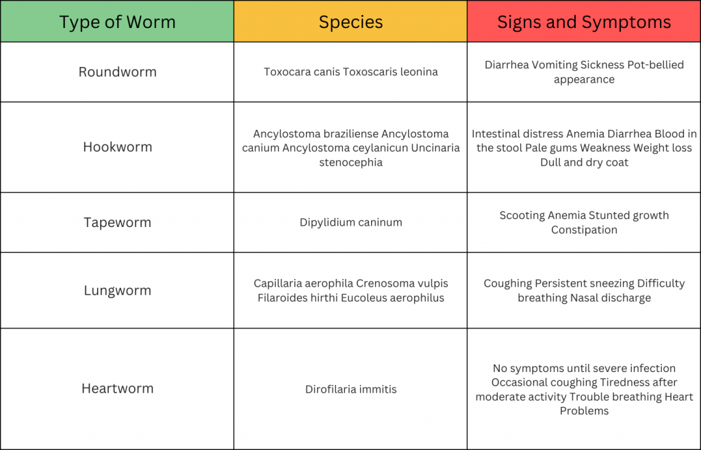 Types of Parasitic Worms in Dogs