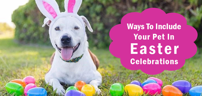 Ways To Include Your Pet In Easter Celebrations