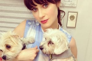 Zooey Deschanel with Adopted Dogs
