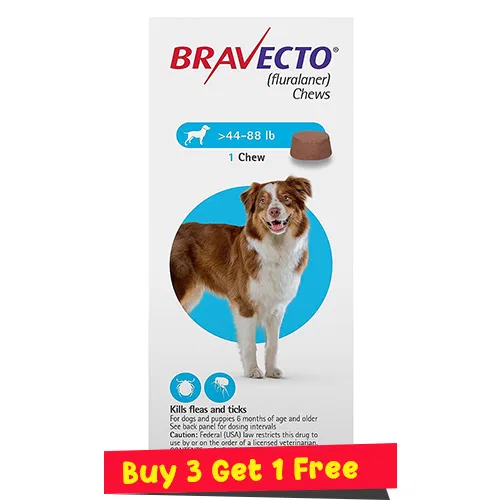 Bravecto Chews for large dogs 44 to 88 lbs blue Pack
