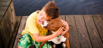 Top Five Signs to Identify Flea Infestation