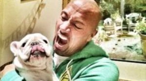 Hollywood Celebrities Who Are Major Dog Lovers