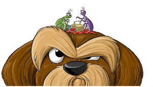 Facts About Dog's Flea Infestations