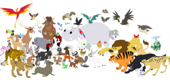 5 Most Uncommon Things To Do On This World Animal Day!