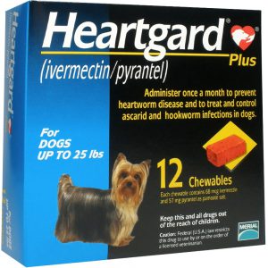 heartgard plus for dogs
