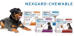 nexgard chewable for dogs