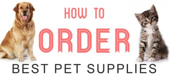 How to Buy Best Pet Supplies?