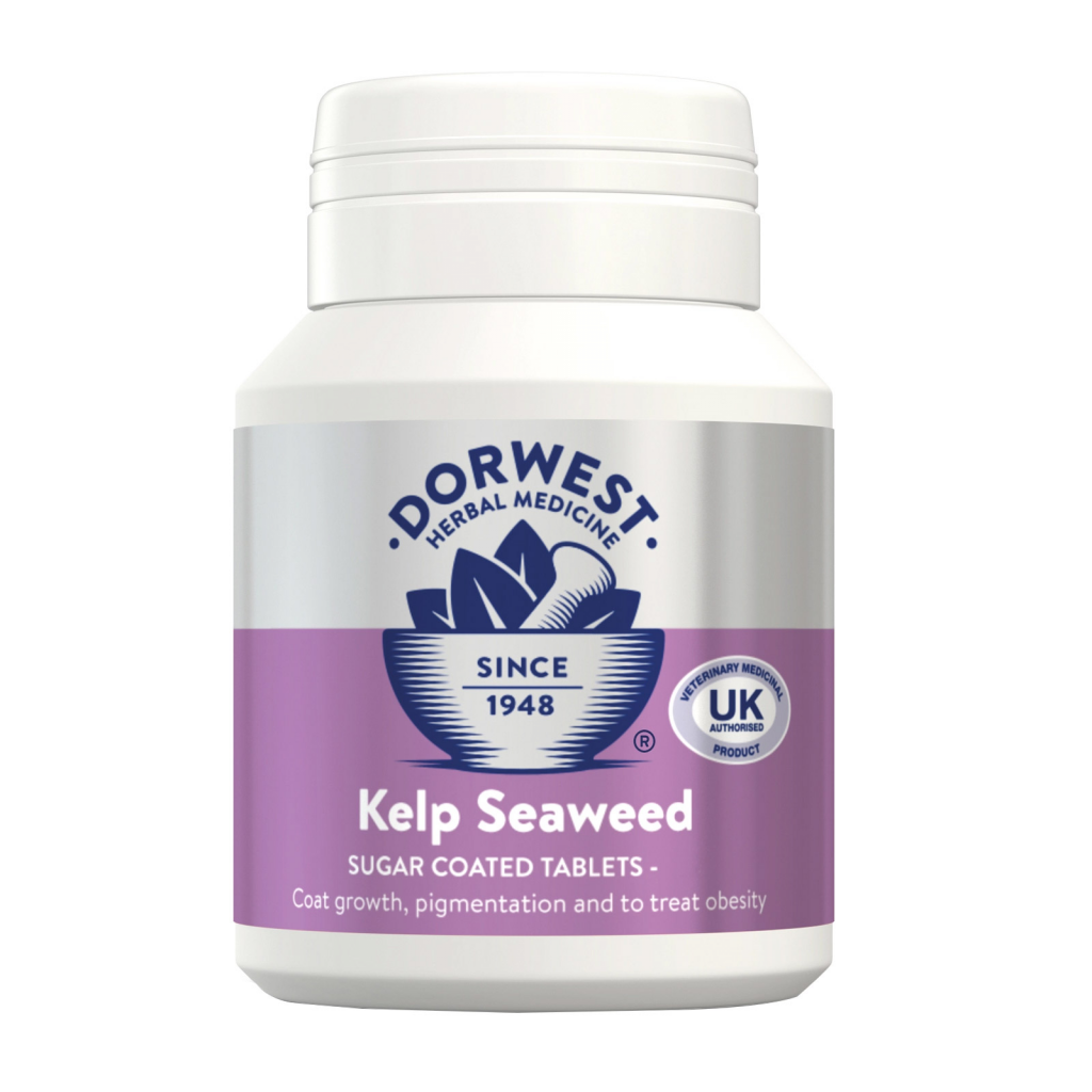 Buy Dorwest Kelp Seaweed Tablets 