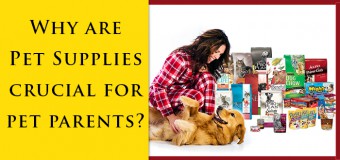 Why Are Pet Supplies Crucial For Pet Parents?