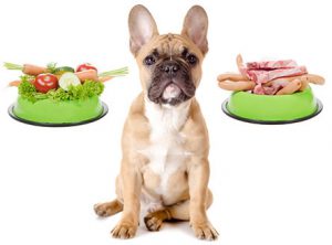 Raw Food Diets for Pets