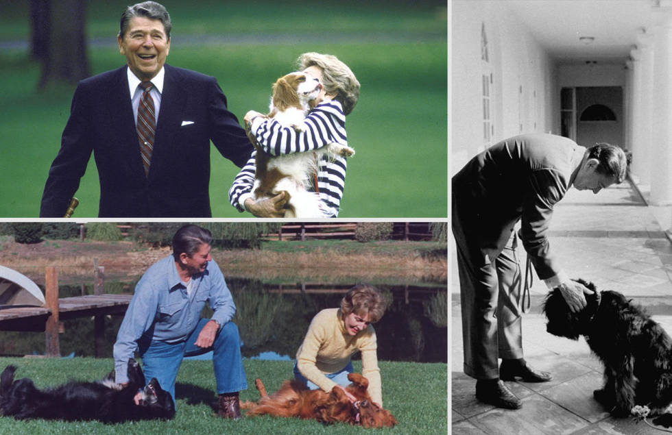 Ronald Reagan with Dog
