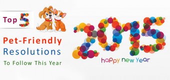 Top Five Pet-Friendly Resolutions to Follow This Year 2015