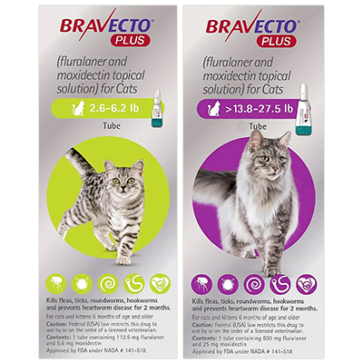 Bravecto Plus
