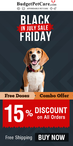 black friday pet deals