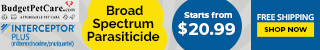 budgetpetcare.com - Interceptor Plus Heartworm Prevention