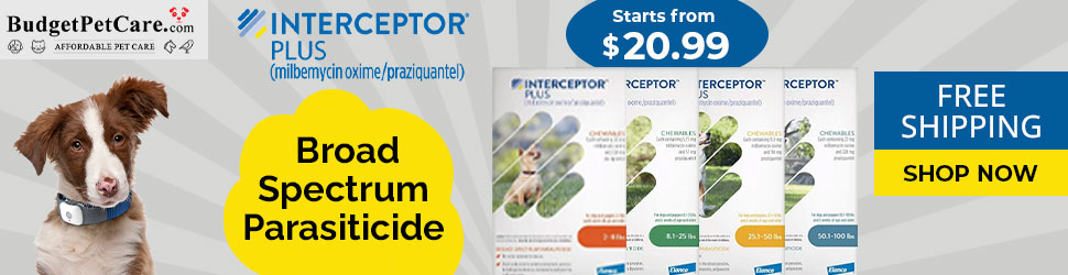 Buy Interceptor Plus for Dogs at Lowest Price Today. Use Coupon: SAVE15 for 15% Extra Off & Free Shipping.