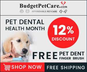 Double the Savings! Get Pet Dent Free Finger Brush on National Pet Dental Health Month! ðŸ’š 12% Extra OFF + FREE SHIPPING!! Extra 10% Instant Cashback. Use Coupon: NPDH12