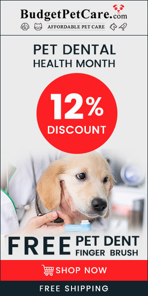 DOUBLE DEAL DAY! Get Pet Dent FREE Finger Brush + 12% Discount & Free Shipping! Extra 10% Instant Cashback on Every Order! Use Coupon: NPDH12