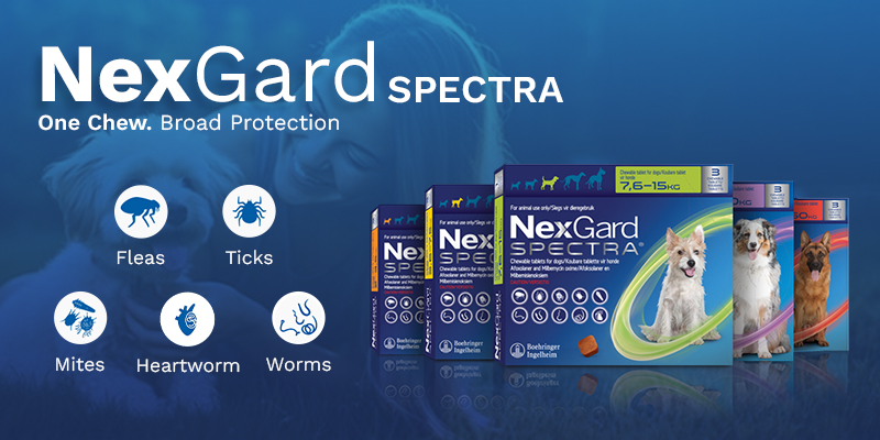 Nexgard Spectra Chewabls for Dogs