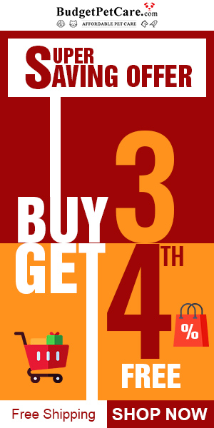 Buy Any 3 Pet Product & Get 4th Totally Free (Upto 80% OFF) Apply Code: 4FREE + Zero Shipping Charges.