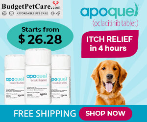 Apoquel – Fast-acting and effective itch-relief tablets at Lowest Price + 15% Off & Free Shipping Today! Use Coupon: SAVE15