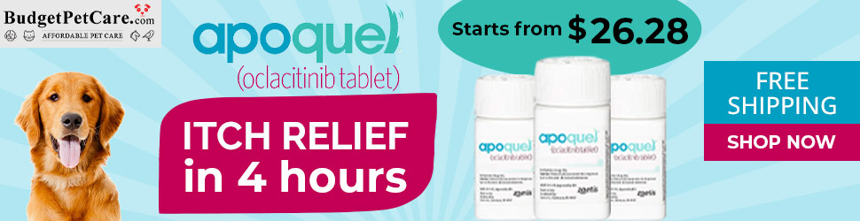 Apoquel – Fast-acting and effective itch-relief tablets at Lowest Price + 15% Off & Free Shipping Today! Use Coupon: SAVE15