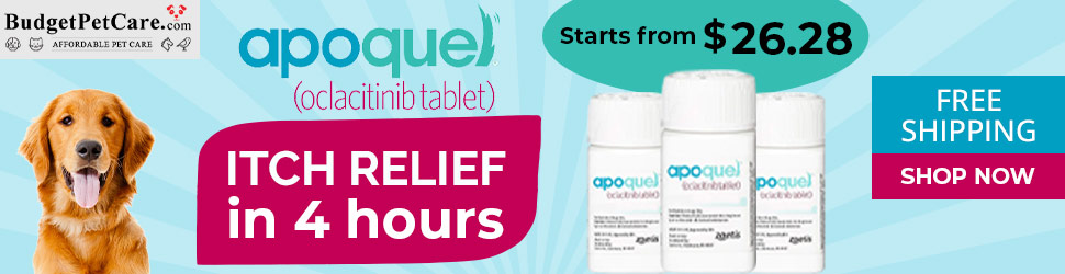 budgetpetcare.com - Apoquel Tablets for Dogs