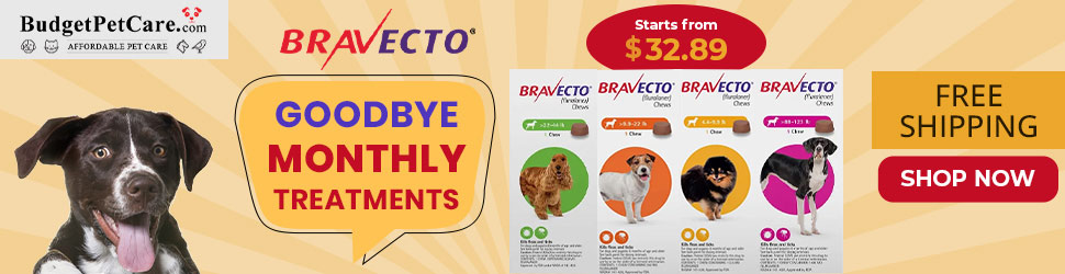 Say Goodbye to Monthly Treatments with Cheapest Bravecto Online. Get 15% Off Your Order + Free Shipping Today. Use Coupon: SAVE15