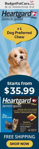 budgetpetcare.com - #1 Dog-Preferred Chew
