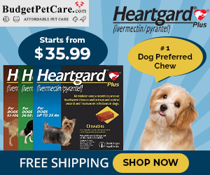 Heartgard Plus is #1 Dog-Preferred Chewable for Heartworm Treatment. Use Coupon: SAVE15 for 15% Off Your Order & Free Shipping!