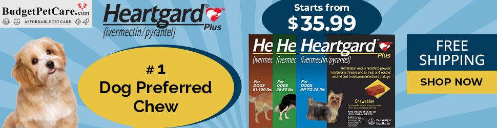 Heartgard Plus is #1 Dog-Preferred Chewable for Heartworm Treatment. Use Coupon: SAVE15 for 15% Off Your Order & Free Shipping!