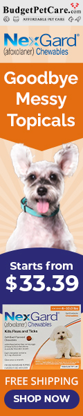 budgetpetcare.com - Shop NexGard for Dogs