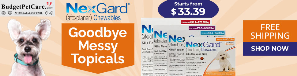 Nexgard Chews That Dogs Love! Starts only at $33 + 15% Extra Off Your Order & Free Shipping. Use Coupon: SAVE15