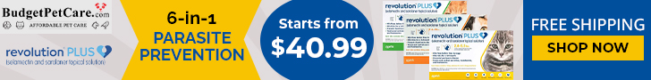 Buy Revolution Plus Flea Tick & Heartworm Treatment For Cats Online at 15% Extra Discount & Free Shipping Today. Use Code: SAVE15