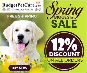 Stock up for SPRING🌸 with up to 50% OFF + Instant 10% Cashback. Get Free Shipping on Everything. Use Coupon: BLOOM15