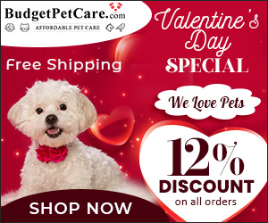We Love ❤ Pets : Don't Miss Out!🧣🐈 Extra 12% OFF on Everything + 10% Instant Cashback! Get Free Shipping on everything.  Use Code: VDAY12