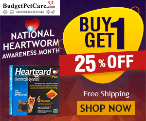 Limited Time Only! Buy One, Get One at 25% Extra Discount on Heartworm Prevention + Free Shipping!