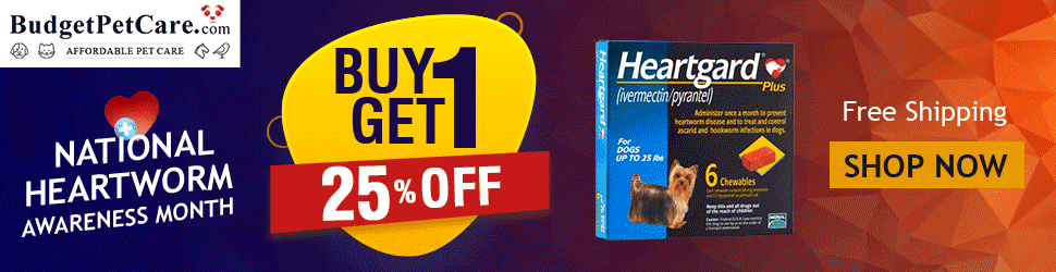 No Coupon Required, Get 25% Extra Discount on Heartwormers + Free Shipping on Everything! Shop Now, Deal Expires on 31st April