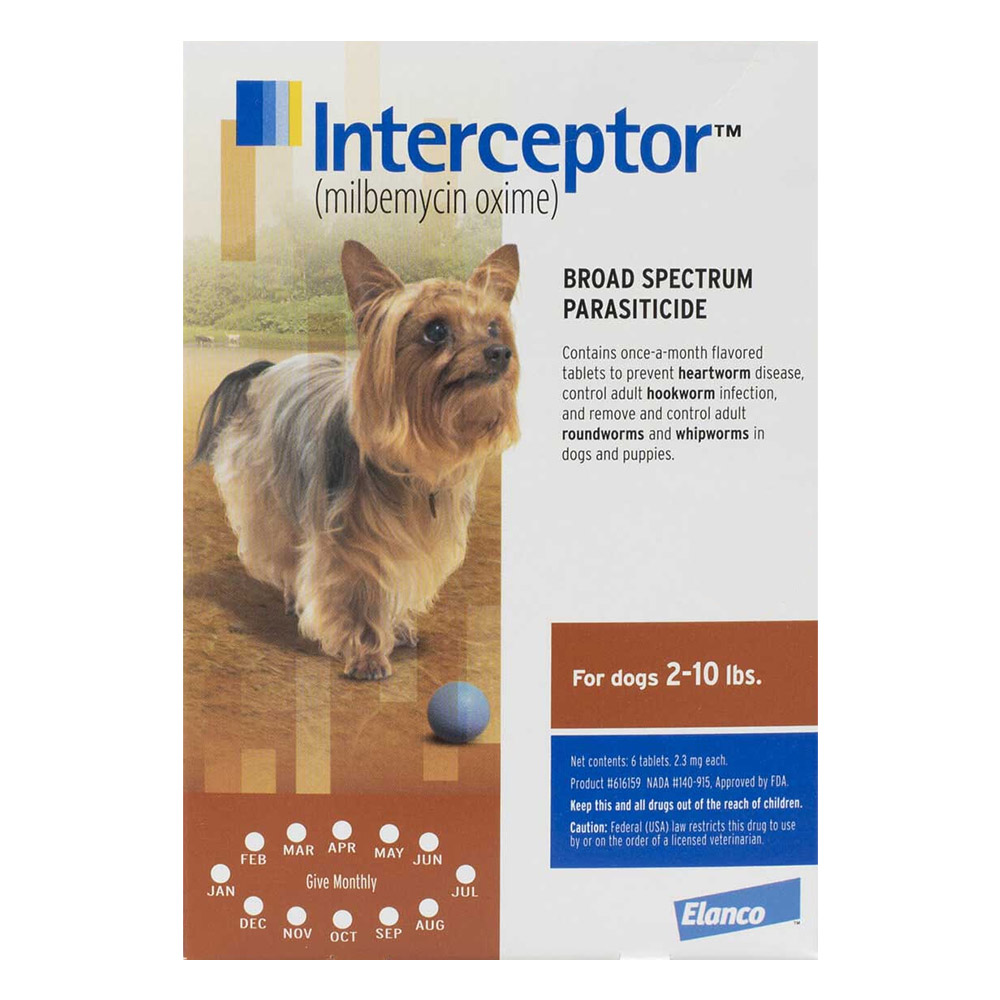 Interceptor For Extra Small Dogs 2-10 Lbs Brown 6 Chews