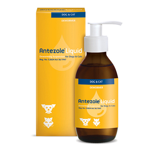 

Antezole Liquid Suspension For Dogs & Cats 100 Ml