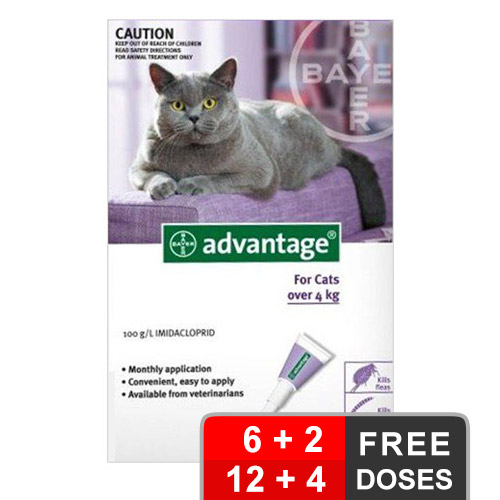 Advantage Cats Over 9lbs Purple 6 + 2 Free
