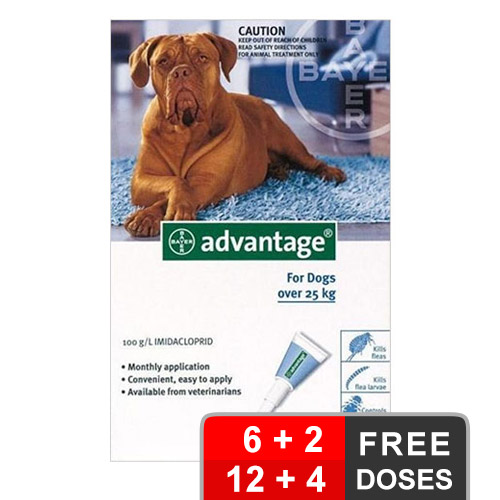 Advantage Extra Large Dogs Over 55 Lbs Blue 6 + 2 Free
