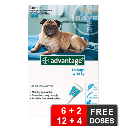 Advantage Medium Dogs 11-20lbs Aqua 4 Months
